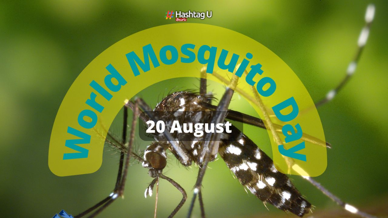 World Mosquito Day: దోమలపై యుద్ధానికి తొలి అడుగు సికింద్రాబాద్ నుంచే.. తెలుసా ?