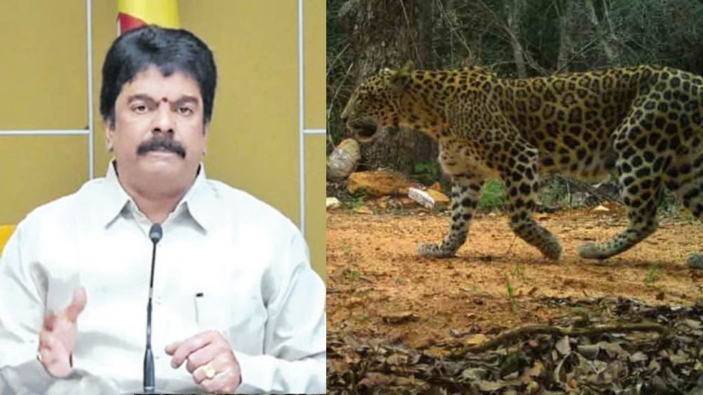 Bonda Uma Sensational Comments Leopards coming to Tirumala due to red sandalwood Smuggling