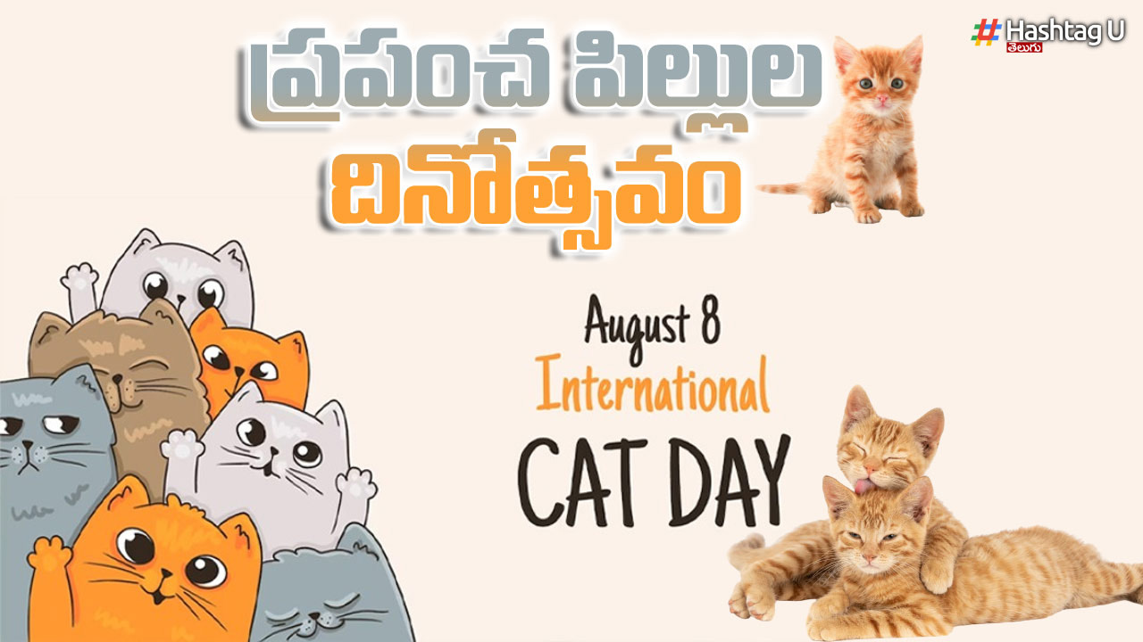 National Cat Day 2023 : అంతర్జాతీయ పిల్లి దినోత్సవం..ఎందుకు జరుపుకుంటారో తెలుసా..?