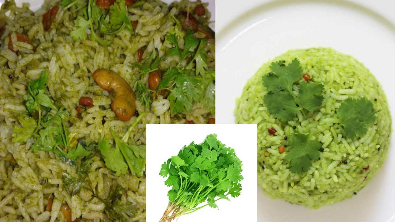 Coriander Rice : కొత్తిమీర రైస్.. సింపుల్ గా ఇంట్లో ఎలా తయారుచేయాలో తెలుసా..?