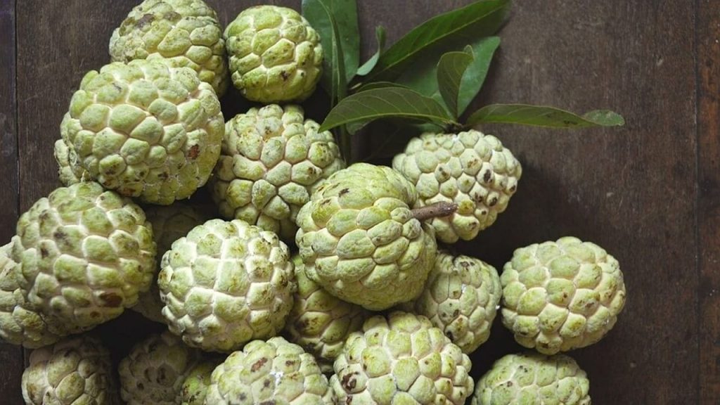 Custard Apple