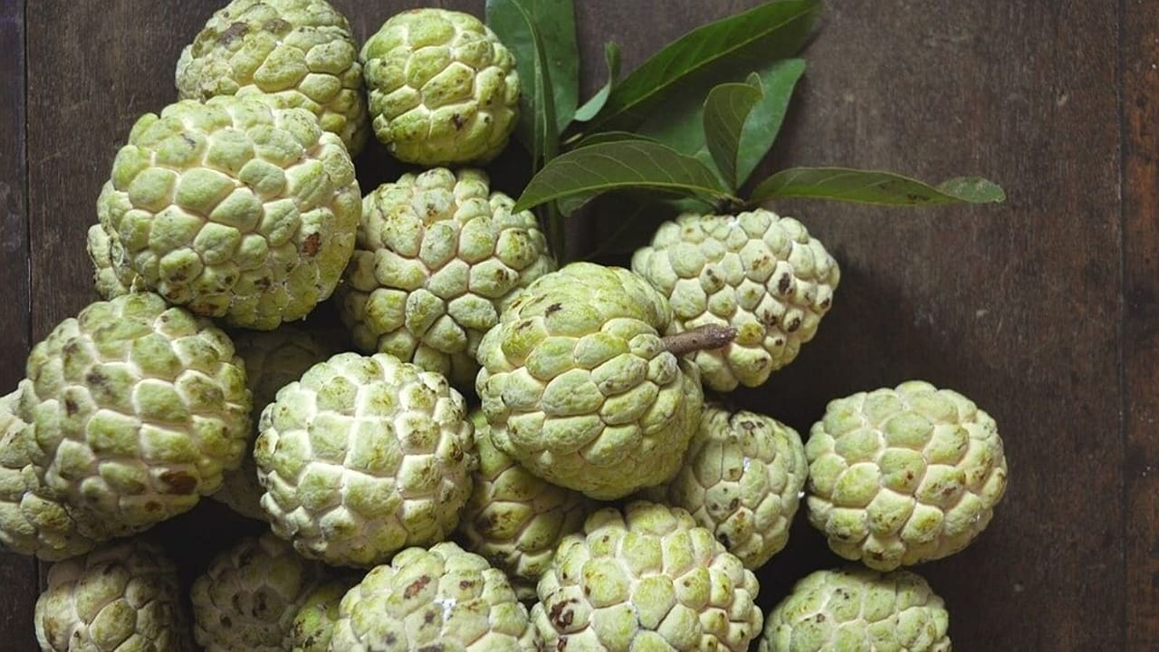 custard apple health benefits: వామ్మో.. సీతాఫలం వల్ల అన్ని రకాల ప్రయోజనాల?