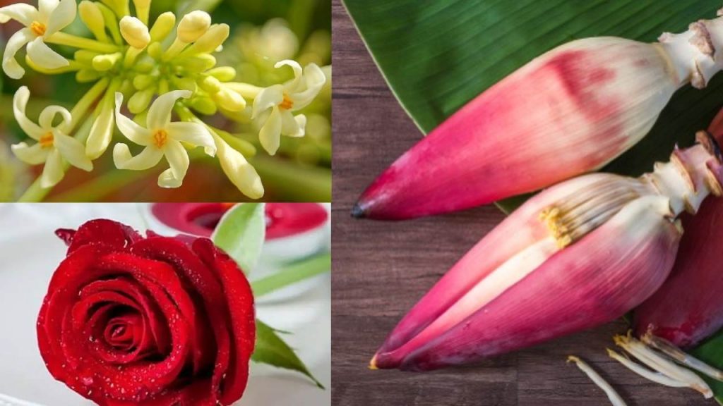 These Flowers use for health also benefits of some flowers to health