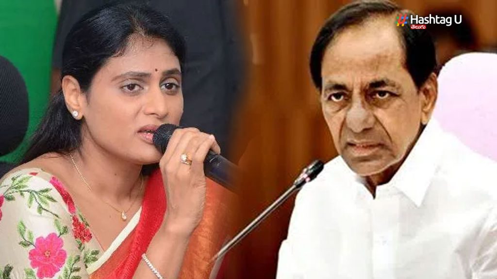 KCR's countdown has begun”- YS Sharmila