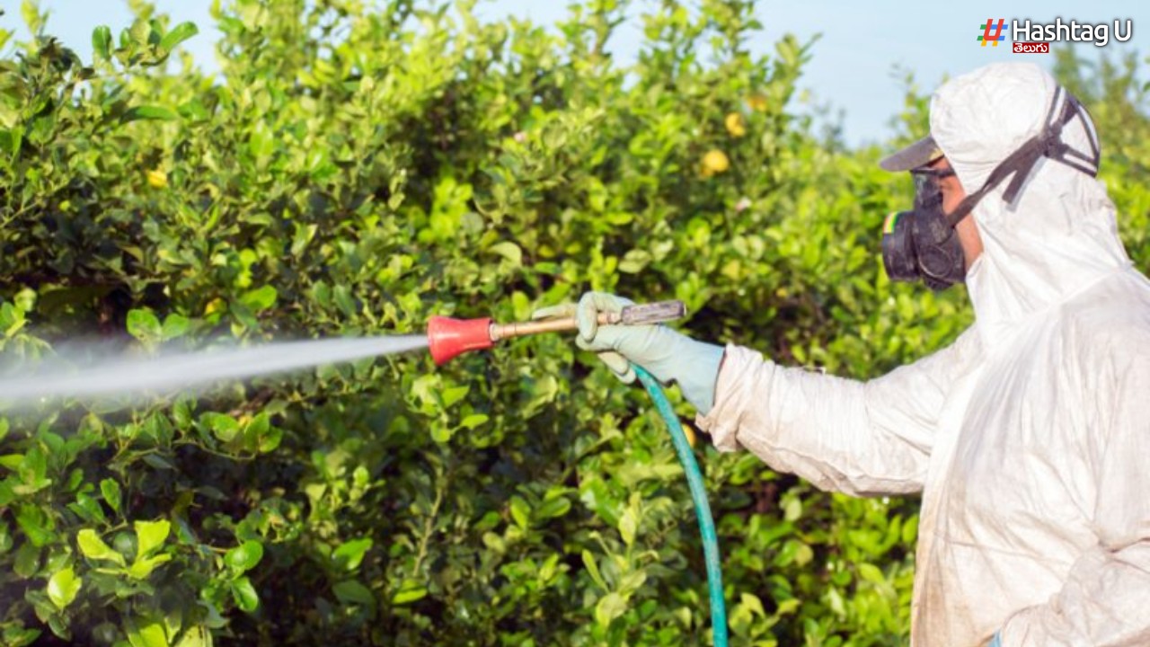 Fake Pesticides: వరంగల్ లో నకిలీ పురుగుమందుల తయారీ