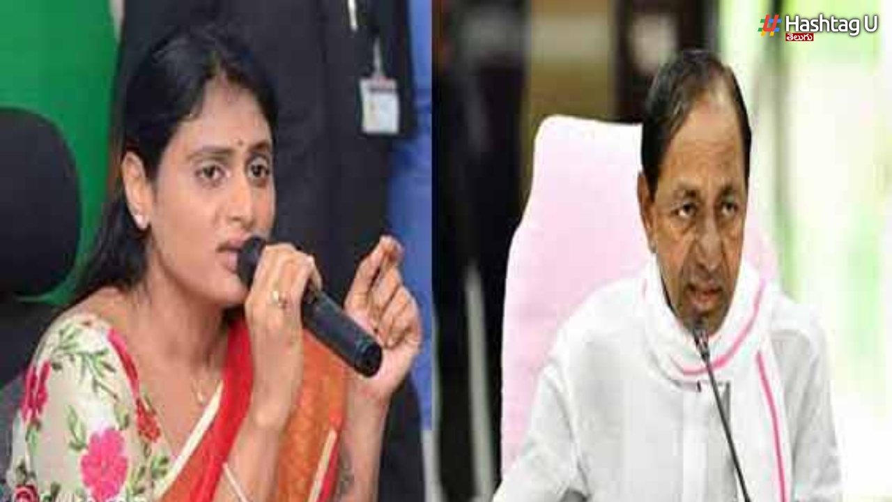 Telangana: డీఎడ్,బీఎడ్ అభ్యర్థులకు కేసీఆర్ క్షమాపణ చెప్పాలి