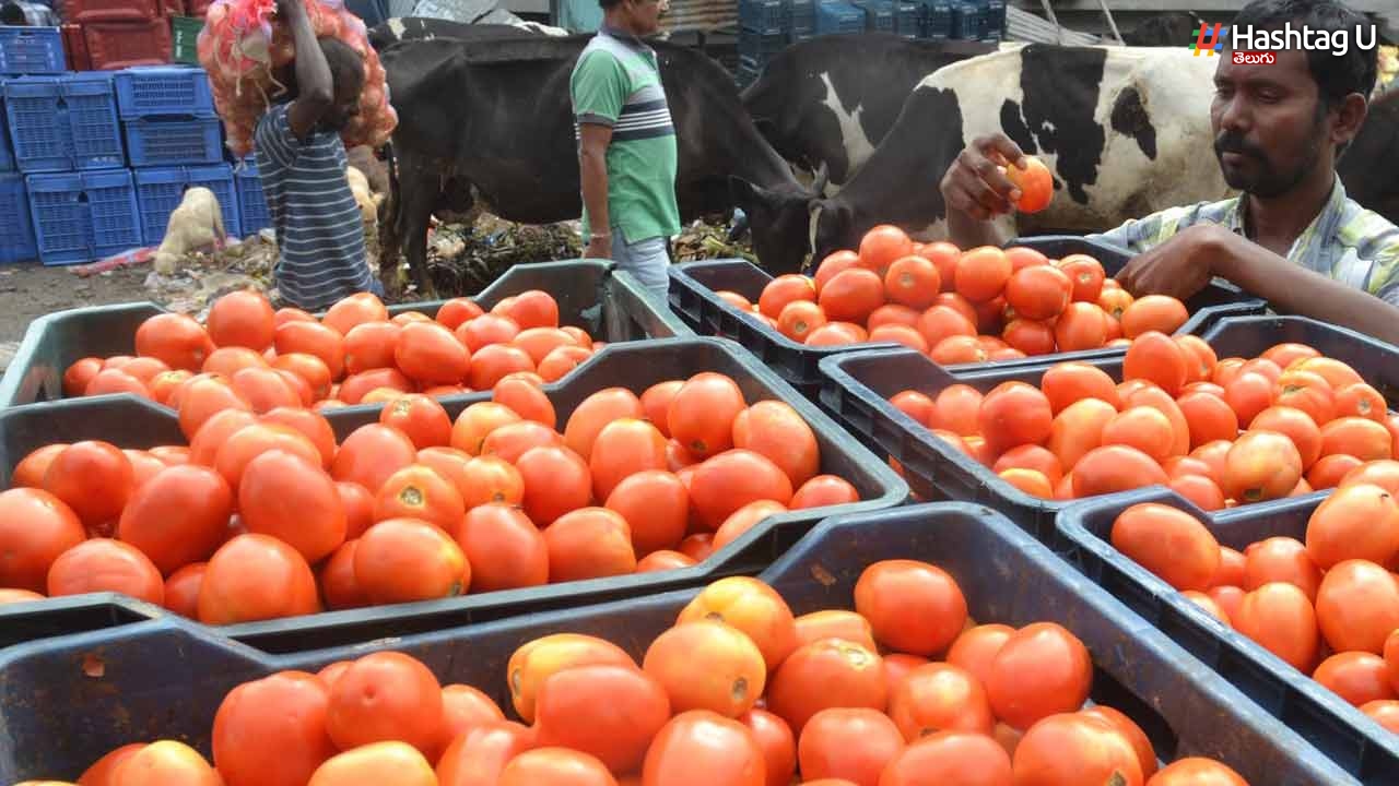 Hyderabad: నగరంలో భారీగా తగ్గిన టమోటా ధరలు