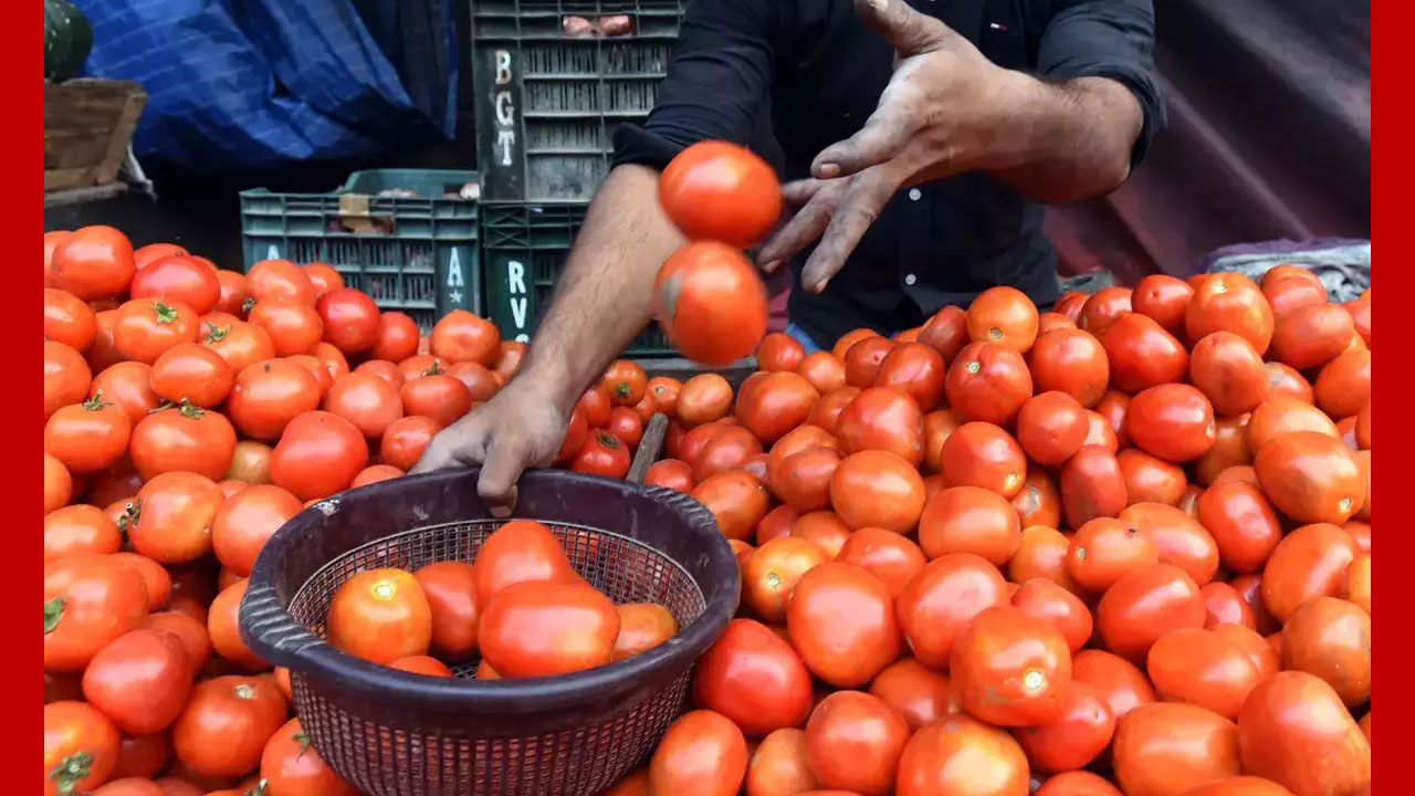 Tomatoes: రేపటి నుంచి 40 రూపాయలకే కిలో టమాటాలు.. ఎక్కడంటే..?