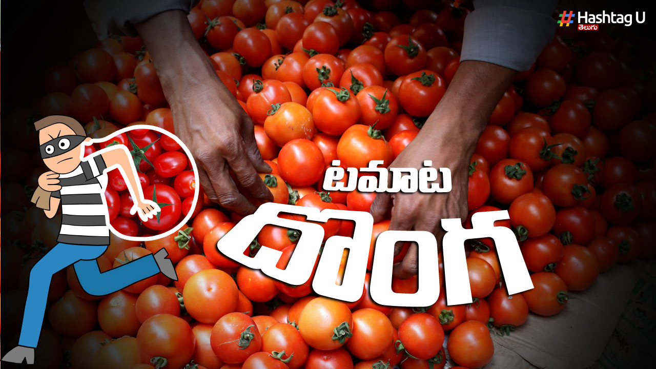 Tomato Theft: టమాటా రైతుపై దాడి, 4.5 లక్షలు దోచుకెళ్లిన దుండగుడు