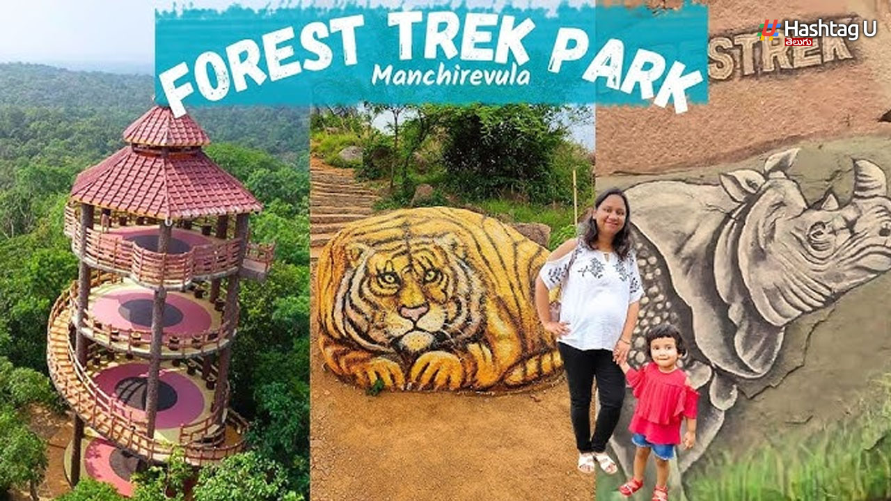 Forest Trek Park: చిల్కూరులో ఫారెస్ట్ ట్రెక్ పార్కు ప్రారంభం, సరికొత్త థీమ్‌తో వెల్ కం!