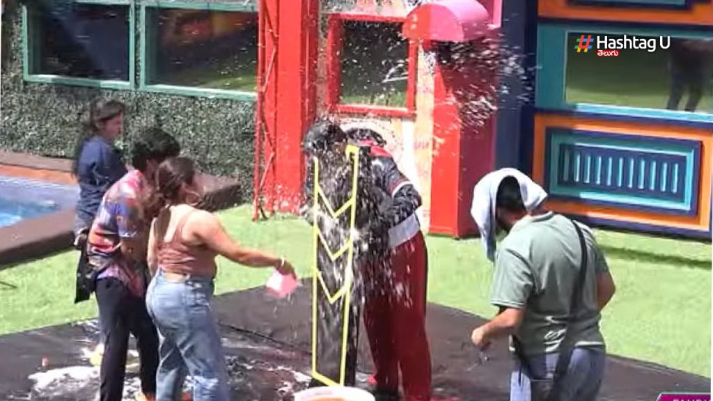 Biggboss 7 Contestants Doin