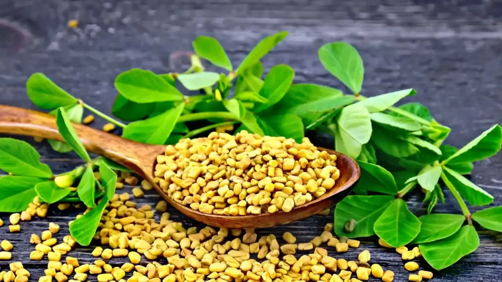 Methi Seeds Benefits