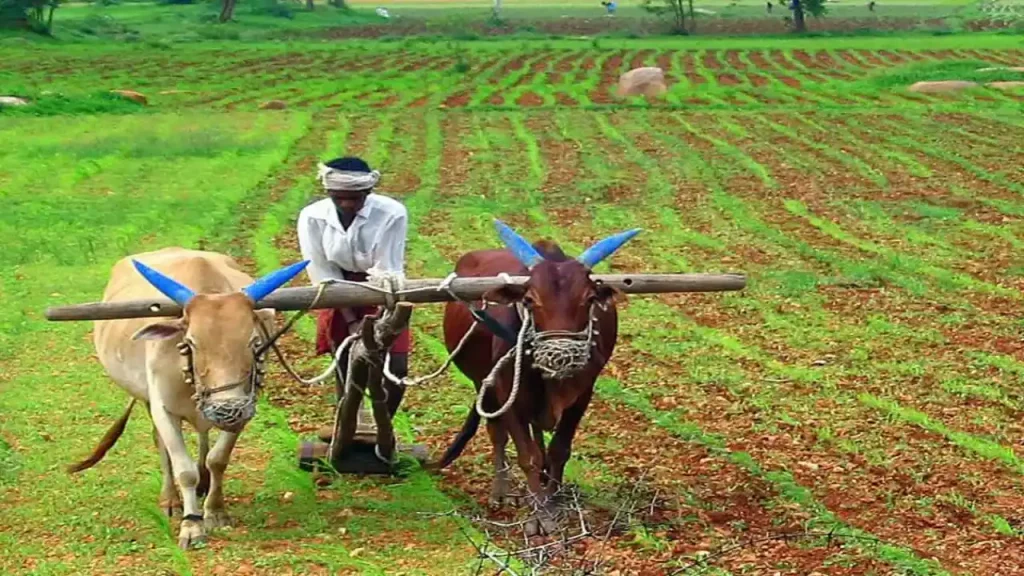 New Farmer Schemes