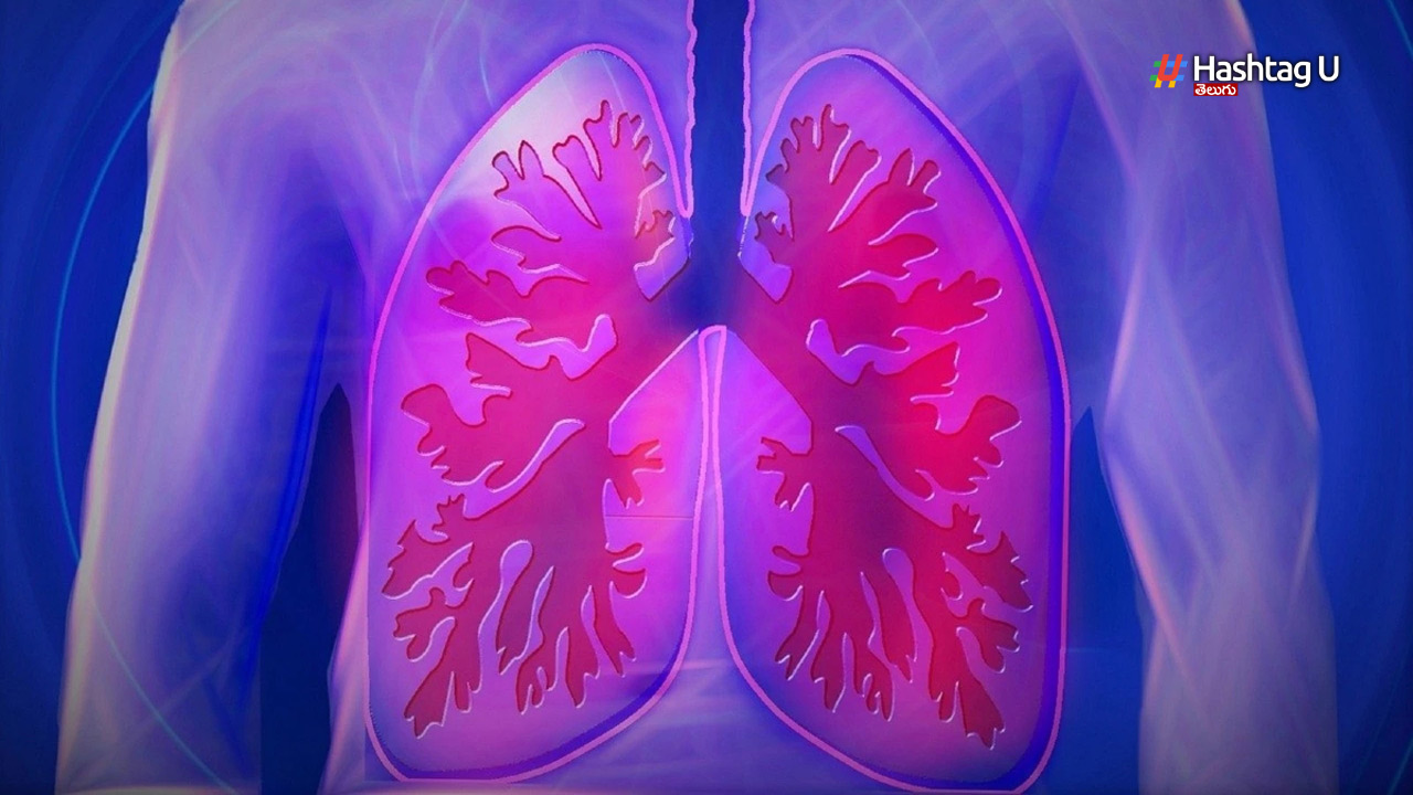 Lungs Healthy: ఊపిరితిత్తులను ఆరోగ్యంగా ఉంచుకోండిలా..!