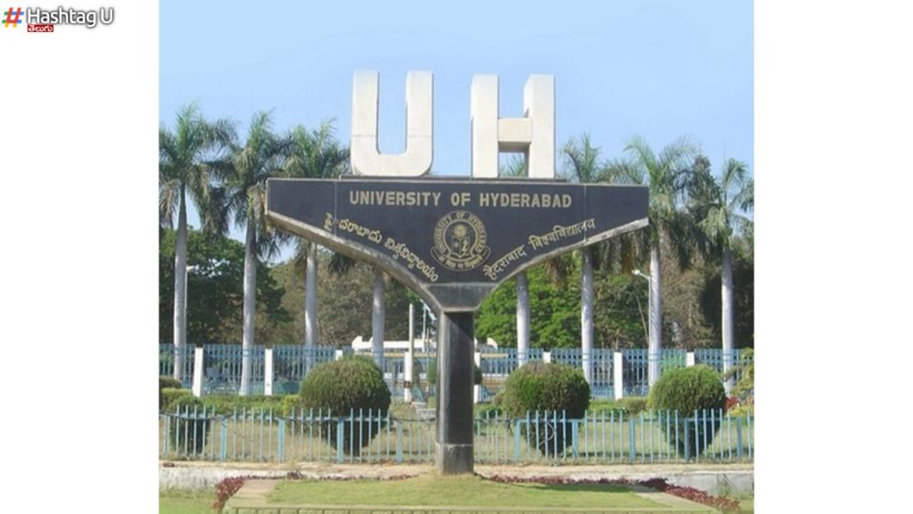 Hyderabad University  Jobs