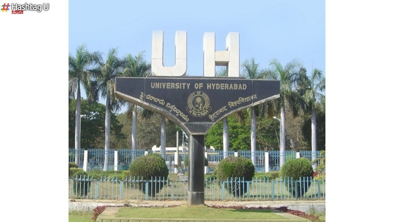 Hyderabad University Jobs : హైదరాబాద్ సెంట్రల్‌ యూనివర్సిటీలో 95 జాబ్స్