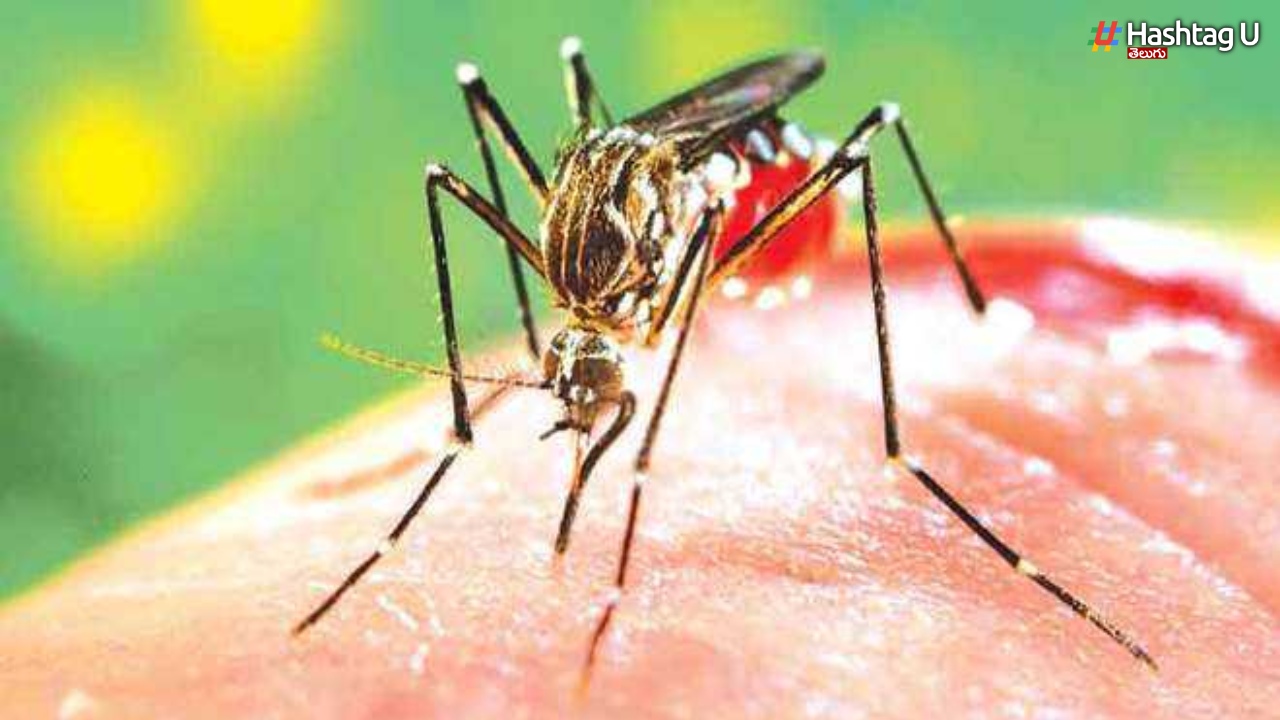 Dengue: డెంగ్యూ వ్యాధితో డాక్టర్ మృతి