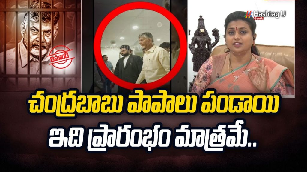 Minister Roja First Reaction On Chandrababu Remand