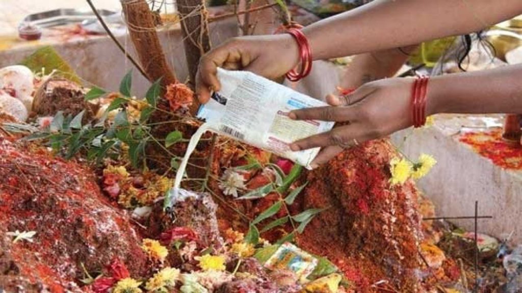 Nag Panchami