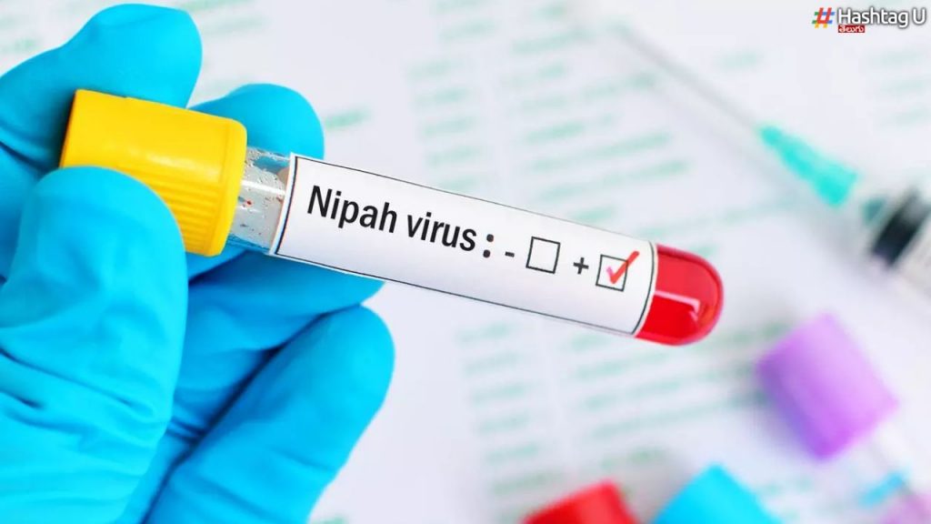 Nipah Virus Precautions