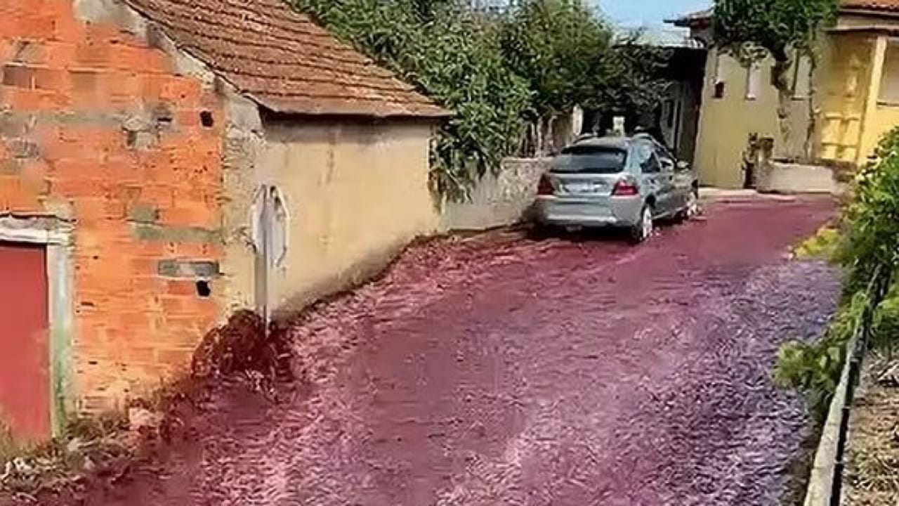 Portugal: రోడ్లపై ఏరులై పారుతున్న వైన్.. నెట్టింట ఫొటోస్ వైరల్?