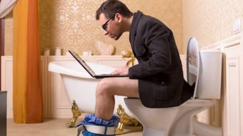Toilet Seat