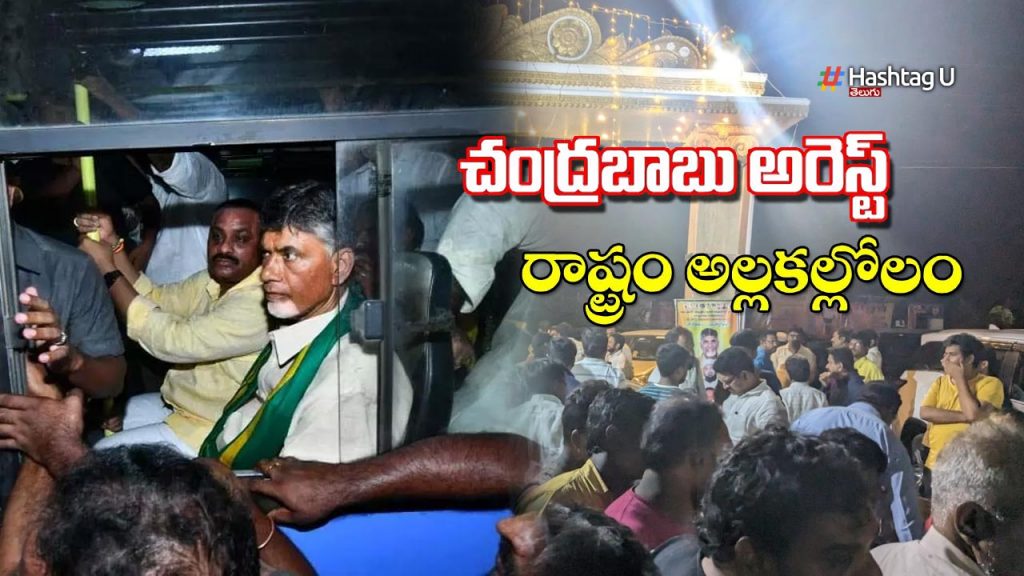 chandrababu Arrest News Update