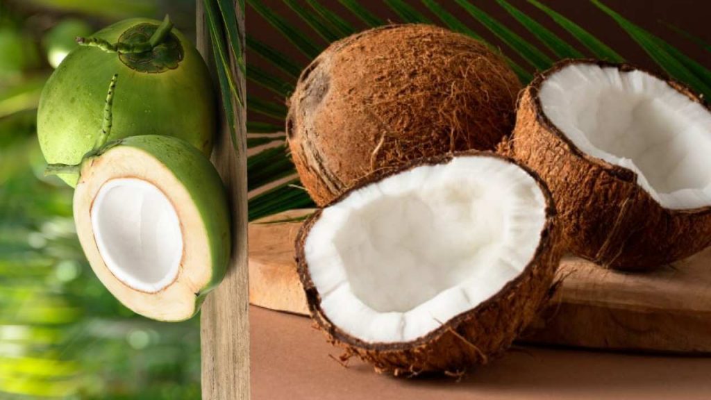 Benefits of Eating Coconut Daily