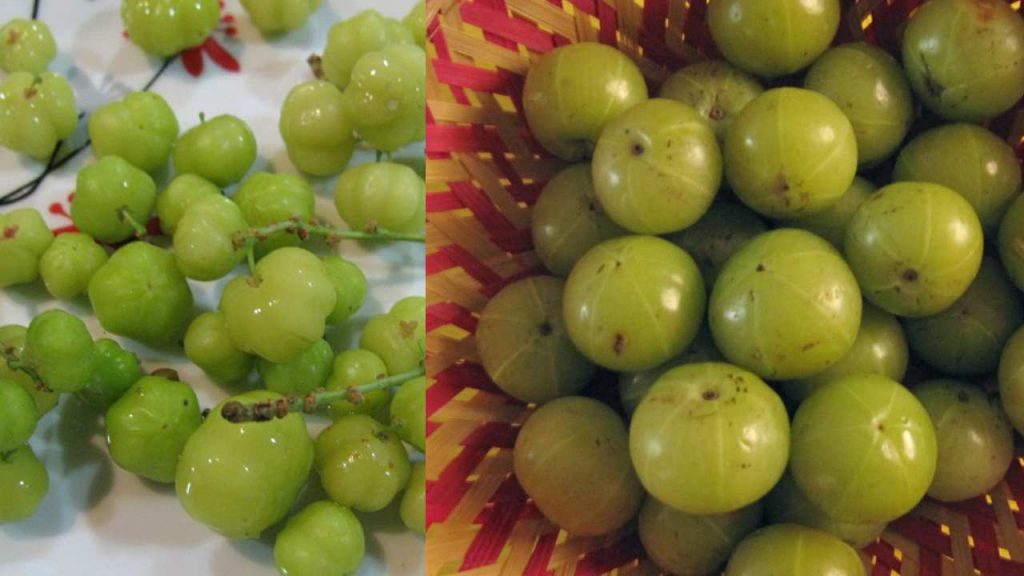 Dont eat Goose Berry amla who have these health issues