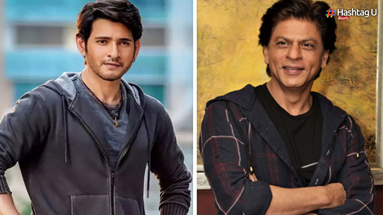 SRK and Mahesh: మహేశ్ మీతో కలిసి జవాన్ మూవీ చూడాలని ఉంది,  షారుక్ ఇంట్రస్టింగ్ ట్వీట్!