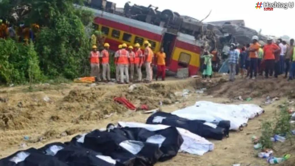 4 Months 28 Dead Bodies