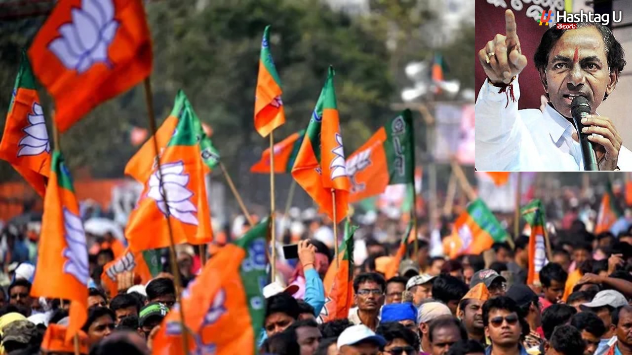 BJP OBC Protest: ఢిల్లీలో కేసీఆర్ కు వ్యతిరేకంగా బీజేపీ ఓబీసీ నిరసనలు