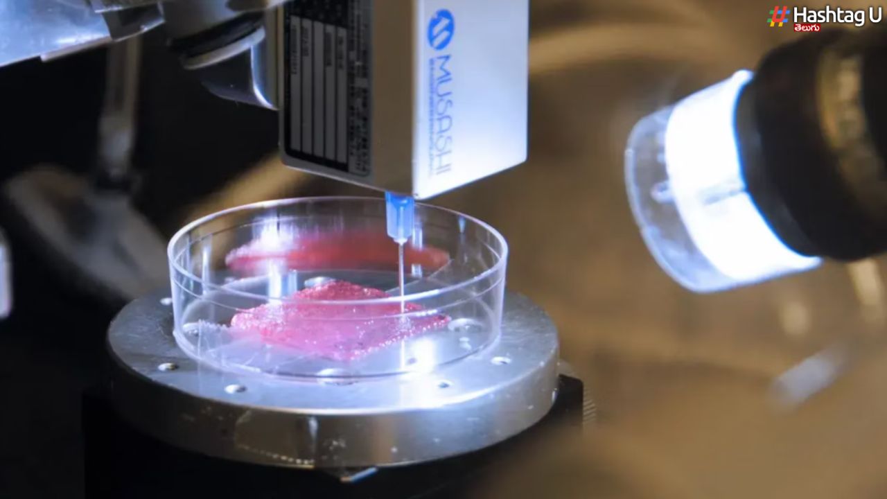 Bioprinted Skin : బయో ప్రింటెడ్ చర్మం రెడీ.. స్పెషాలిటీ తెలుసా ?
