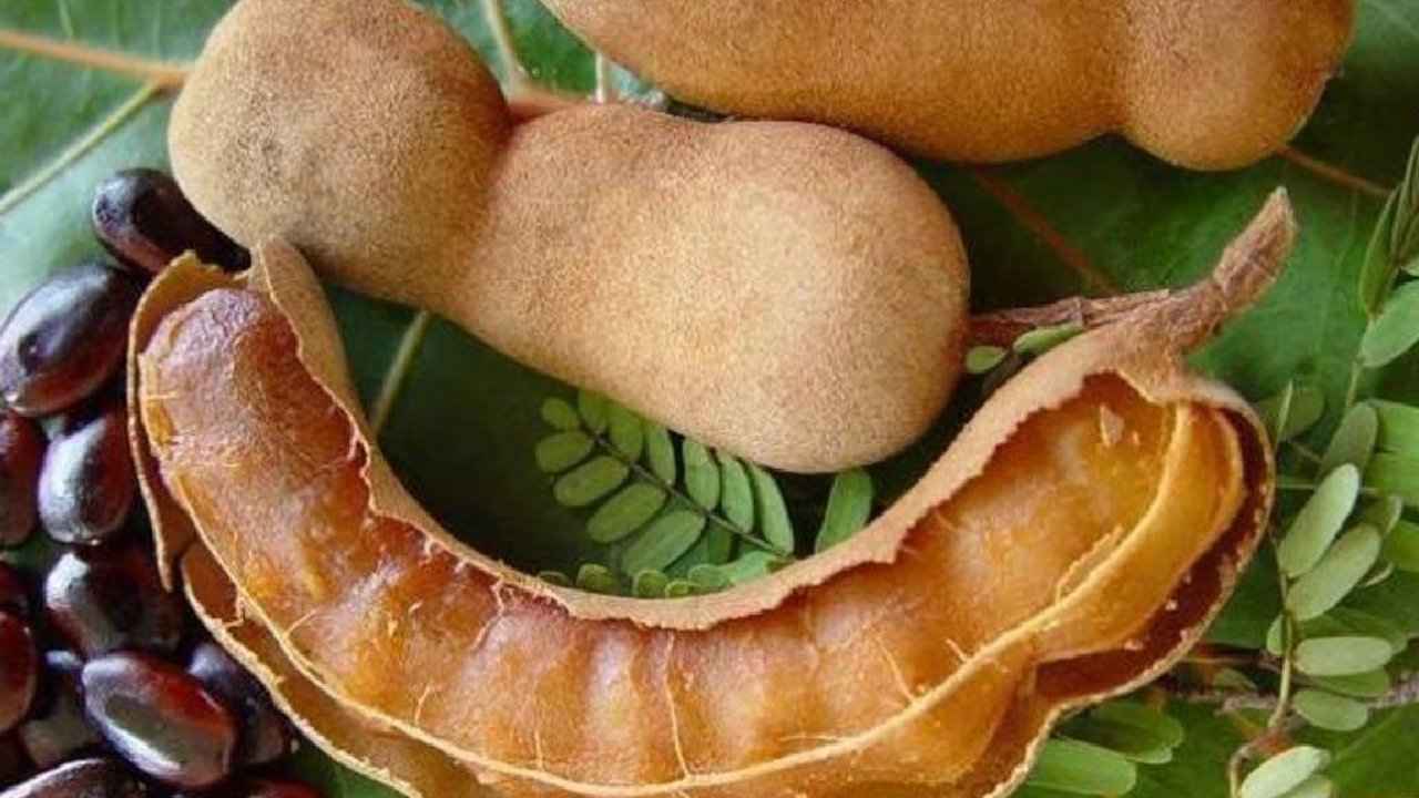 Tamarind Health Benefits: చింతపండు తింటే.. ఈ సమస్యలు ఉండవు..!