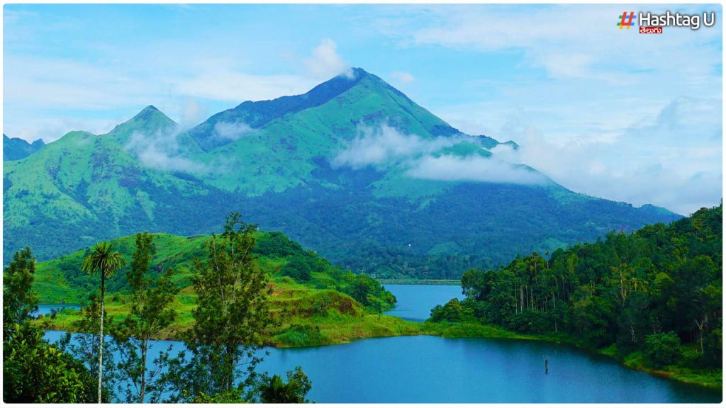 Discovering The Enigmatic Beauty Of Wayanad Kerala's Pristine Wilderness