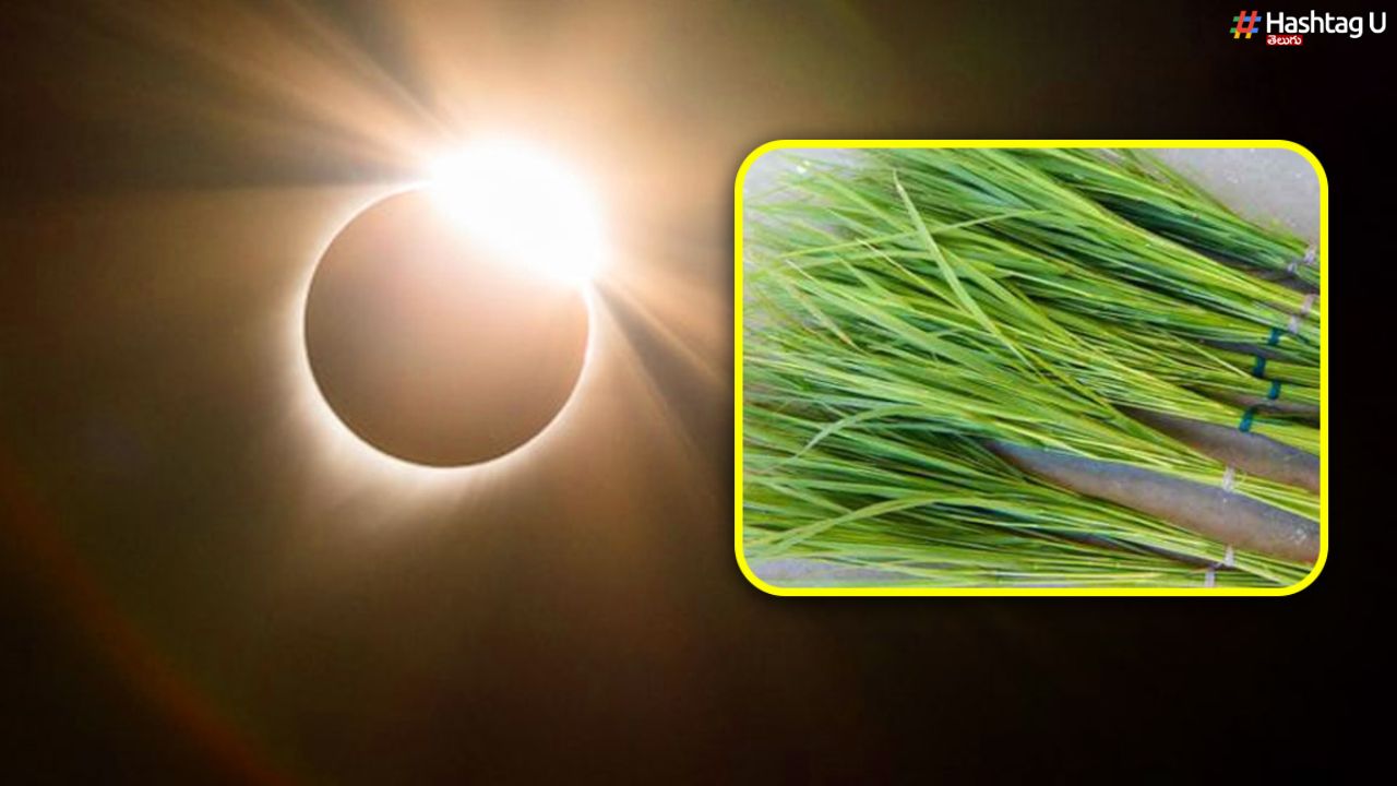 Eclipses – Darbha : గ్రహణాలకు దర్భలకు సంబంధమేంటి ? దర్భలను పూజల్లో ఎందుకు వాడుతారు ?