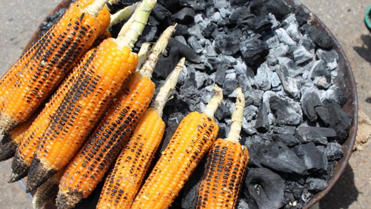 Charcoal Corn : కాల్చిన మొక్కజొన్నలను తింటే క్యాన్సర్ వస్తుందా ?