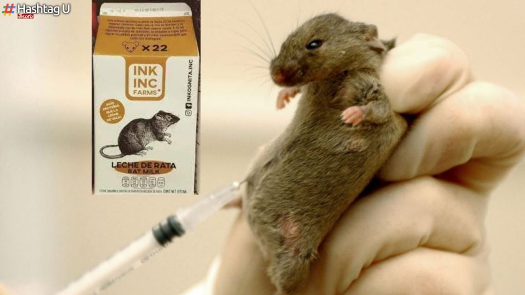 Rat Milk 18 Lakhs