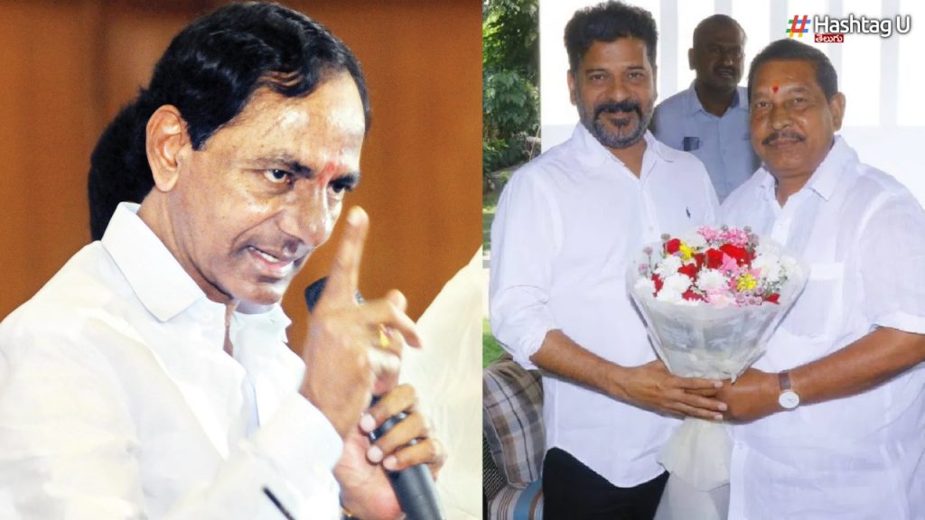 Telangana (31)