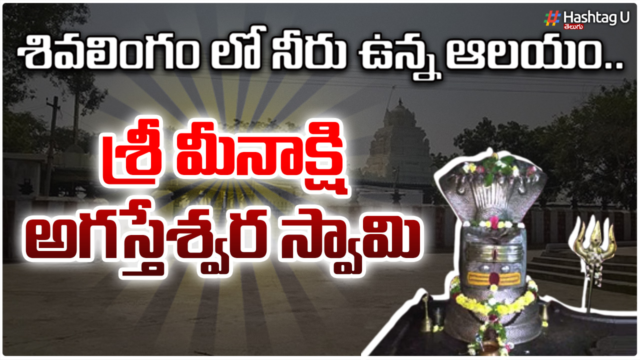 Sri Meenakshi Agasteswara Swamy : శివలింగం లో నీరు ఉన్న ఆలయం