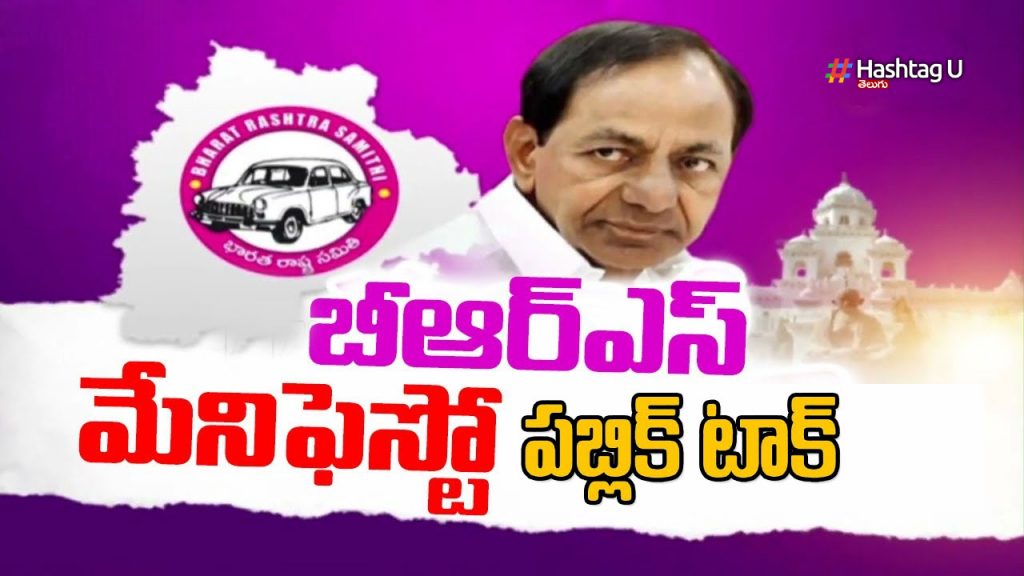 Brs Manifesto Public Talk