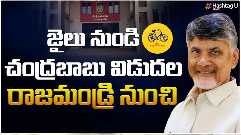 Chandrababu Naidu Gets Interim Bail