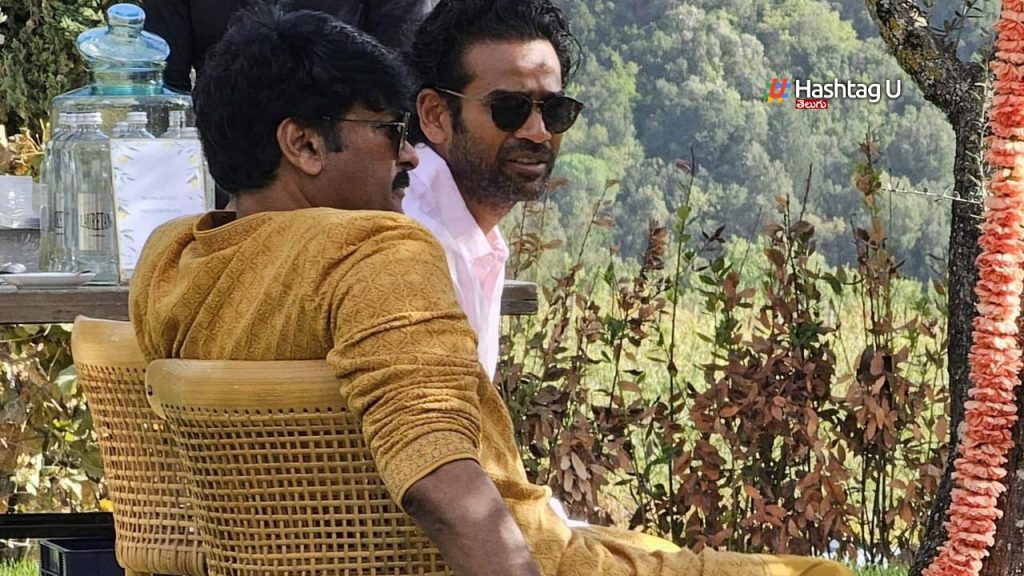 Chiru Pic