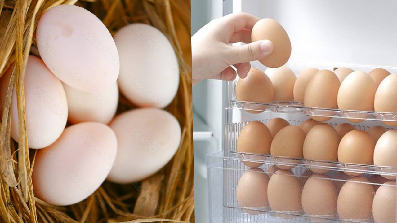 Eggs Storage : గుడ్లు ఎక్కువ కాలం నిలువ ఉండాలంటే ఏం చేయాలో తెలుసా?