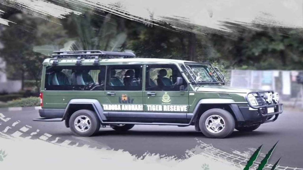 Cruiser Jungle Safari