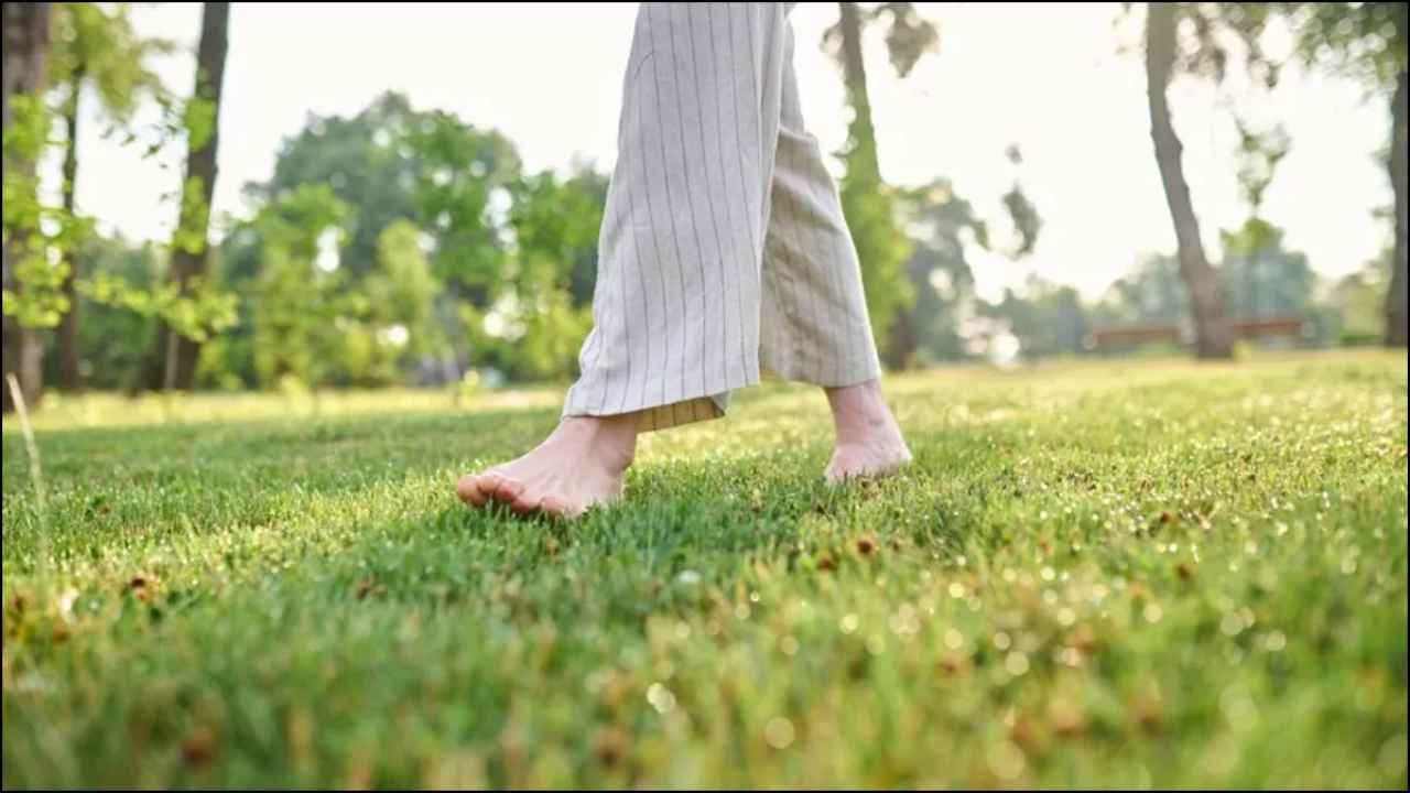 Barefoot On Grass: ఉదయాన్నే మీరు గడ్డిపై చెప్పులు లేకుండా నడిస్తే ఎన్ని ప్రయోజనాలో తెలుసా..?