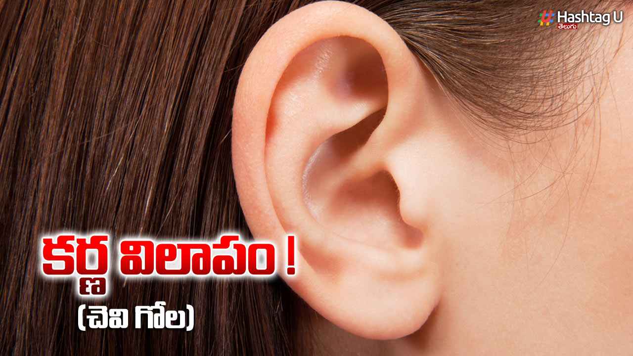 Ear Feelings : కర్ణ విలాపం (చెవి గోల)!