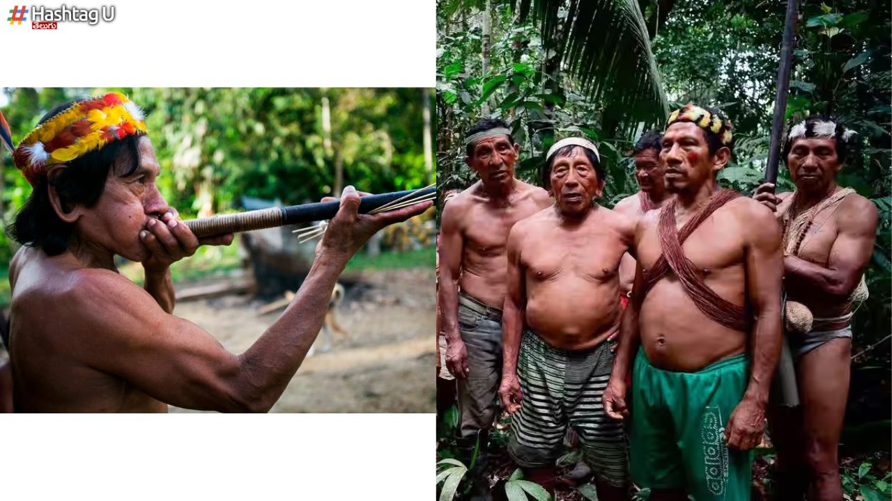 Huaorani Tribe : కోతులు తింటారు.. ఆకులు కట్టుకుంటారు.. వింత తెగ వివరాలివీ