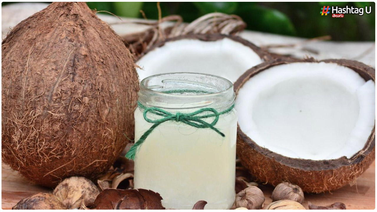 Coconut Milk : పొడవాటి జుట్టు కావాలంటే కొబ్బరి పాలలో ఆ రెండు కలిపి రాయాల్సిందే?