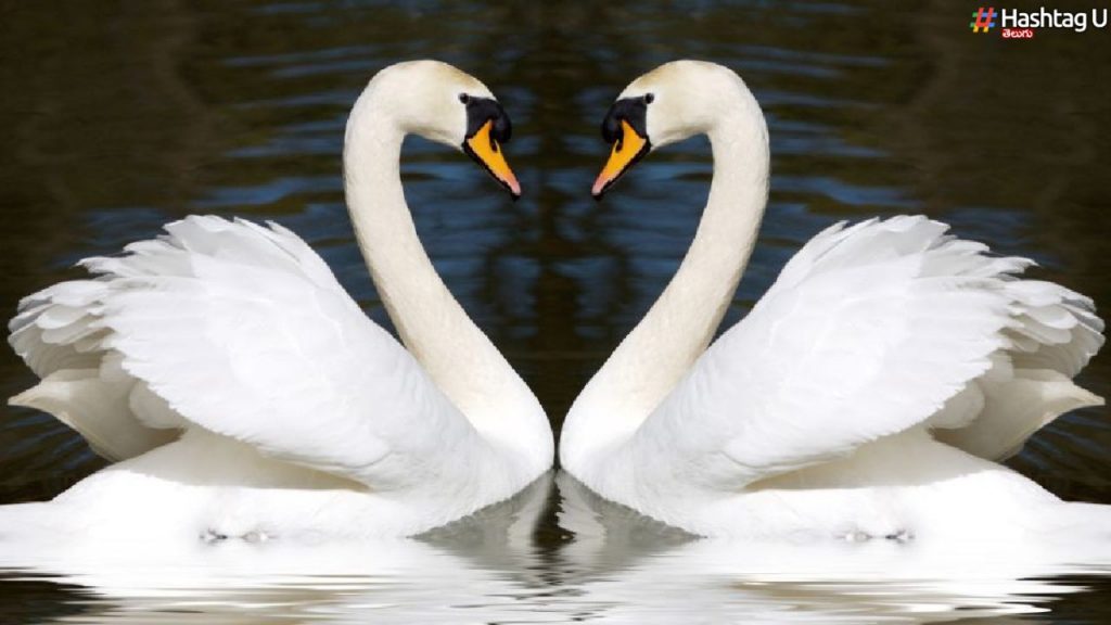 Soulmate Signs